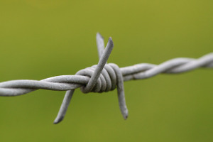 Barbed wire